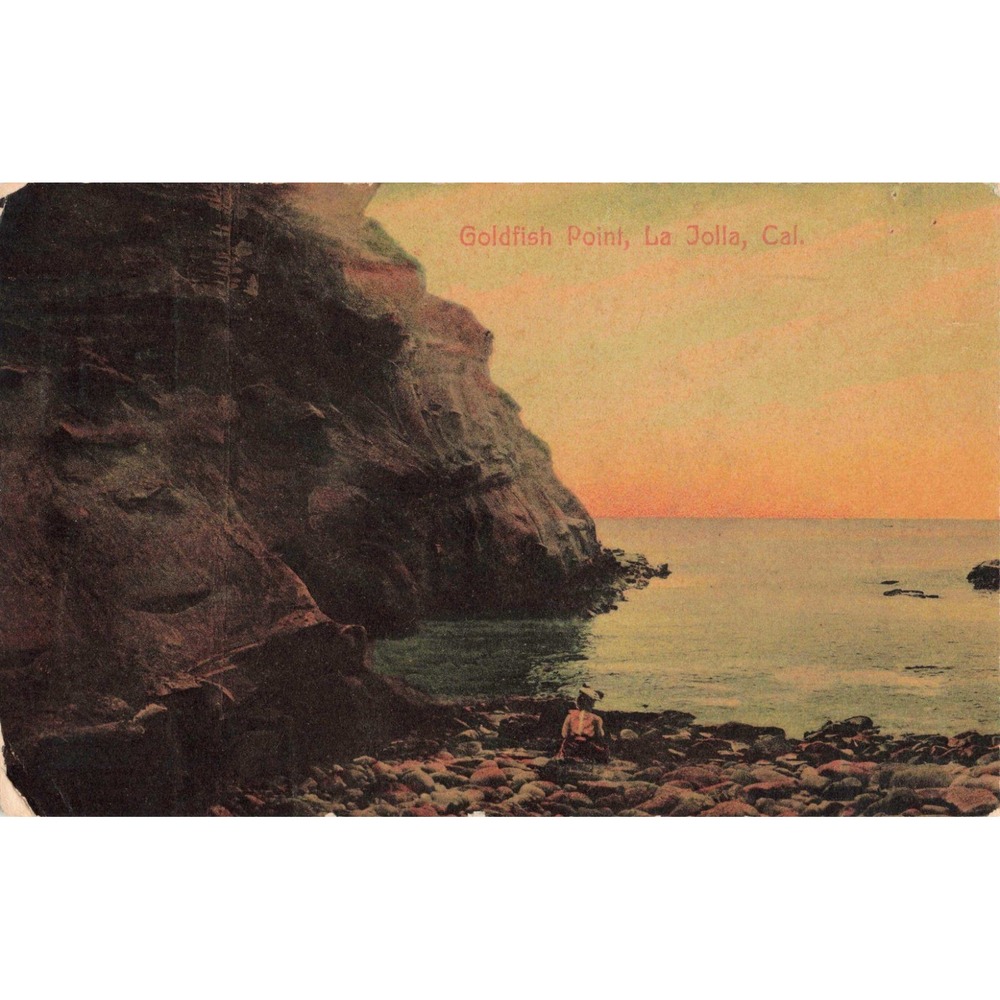 Vintage Goldfish Point La Jolla California Postcard Newman Post Card Co Germany